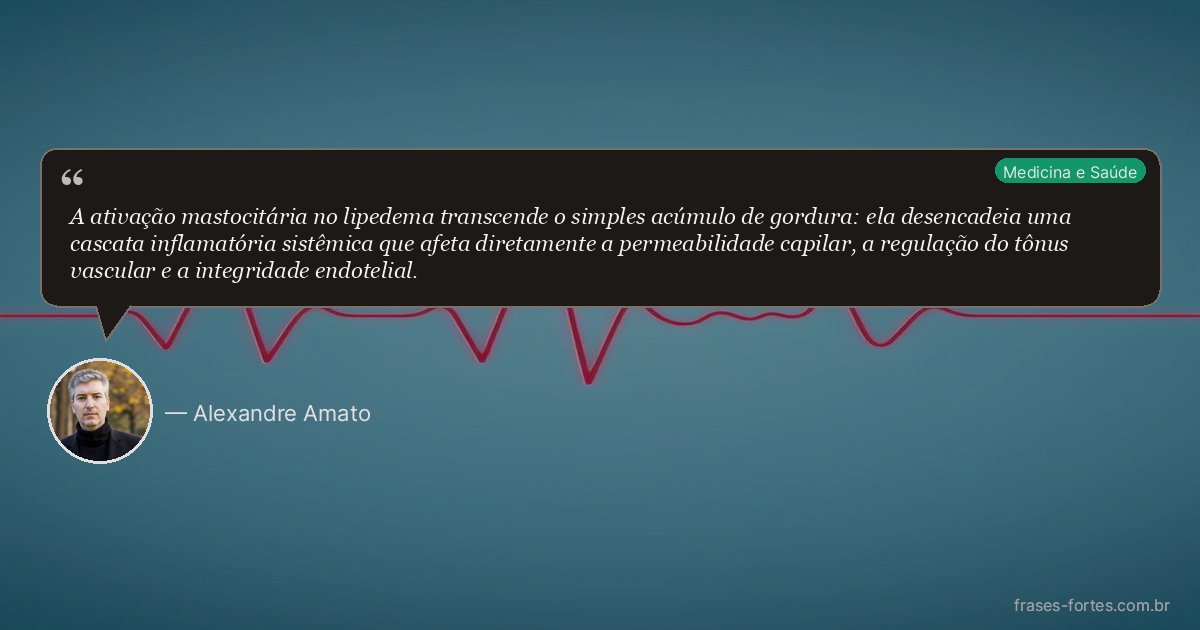 Frase de Alexandre Amato