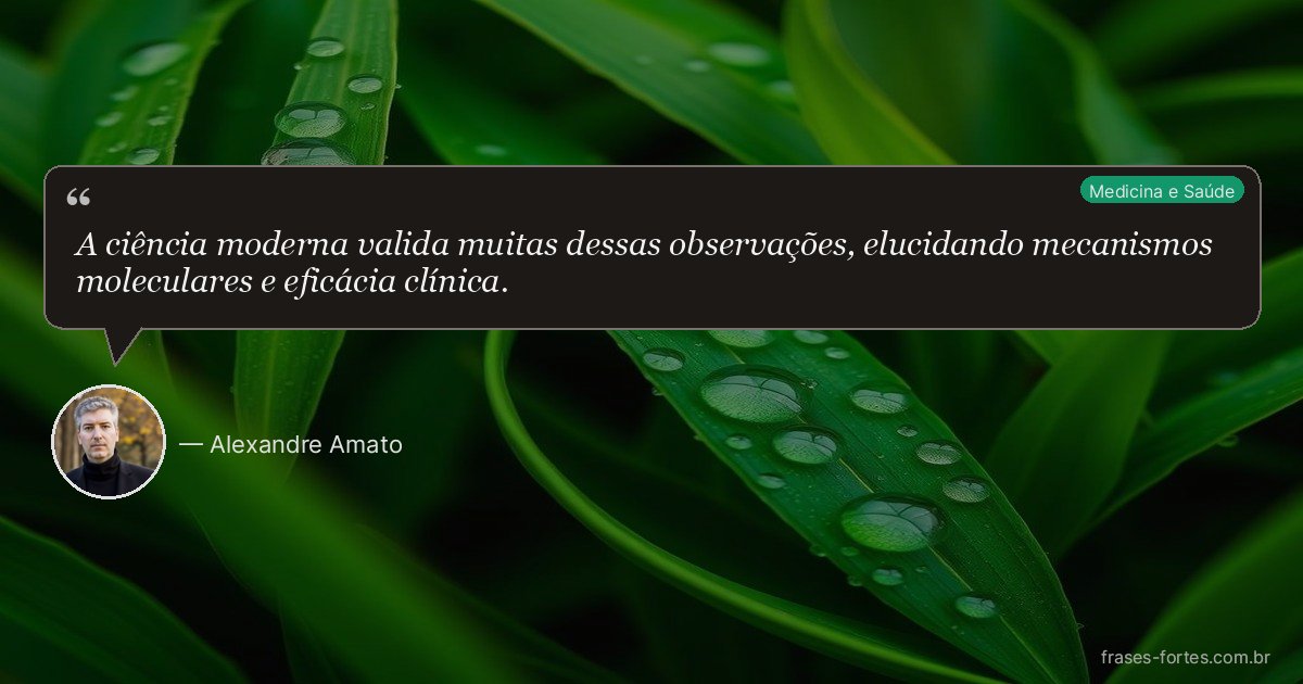 Frase de Alexandre Amato