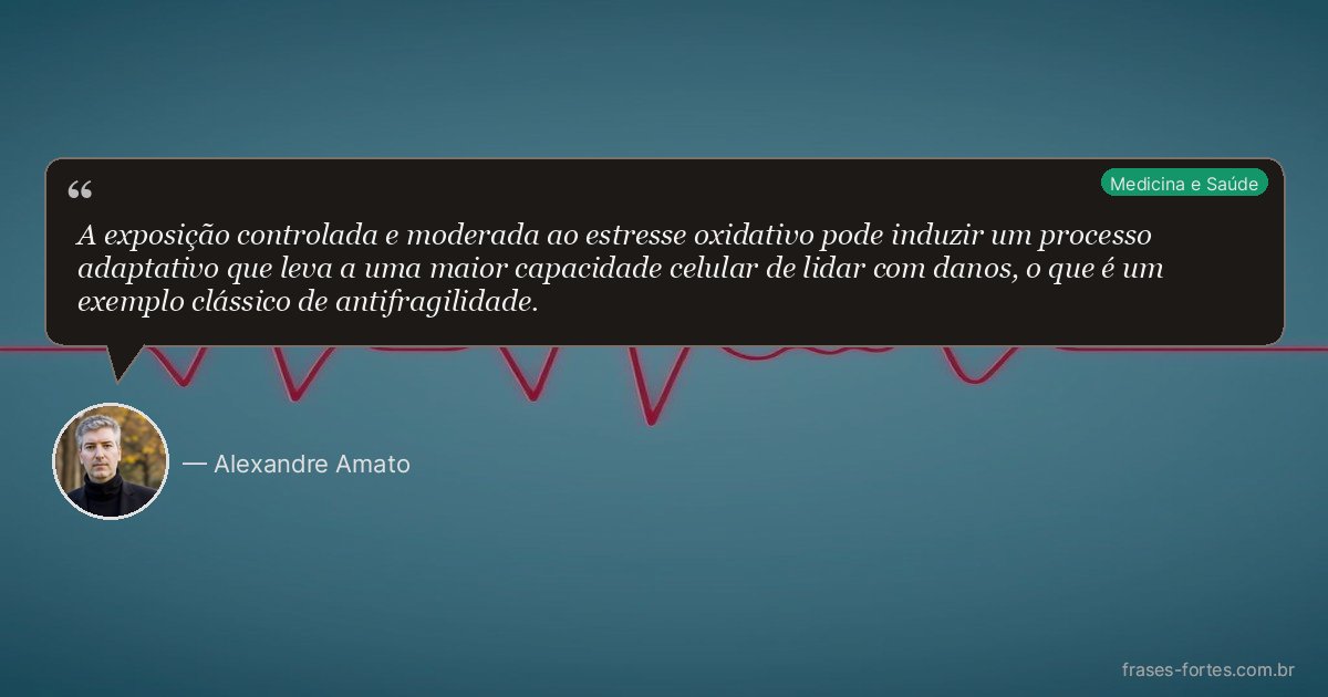 Frase de Alexandre Amato