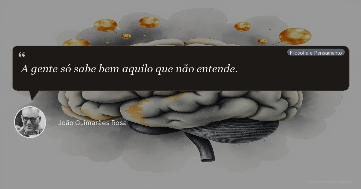 Frase de João Guimarães Rosa