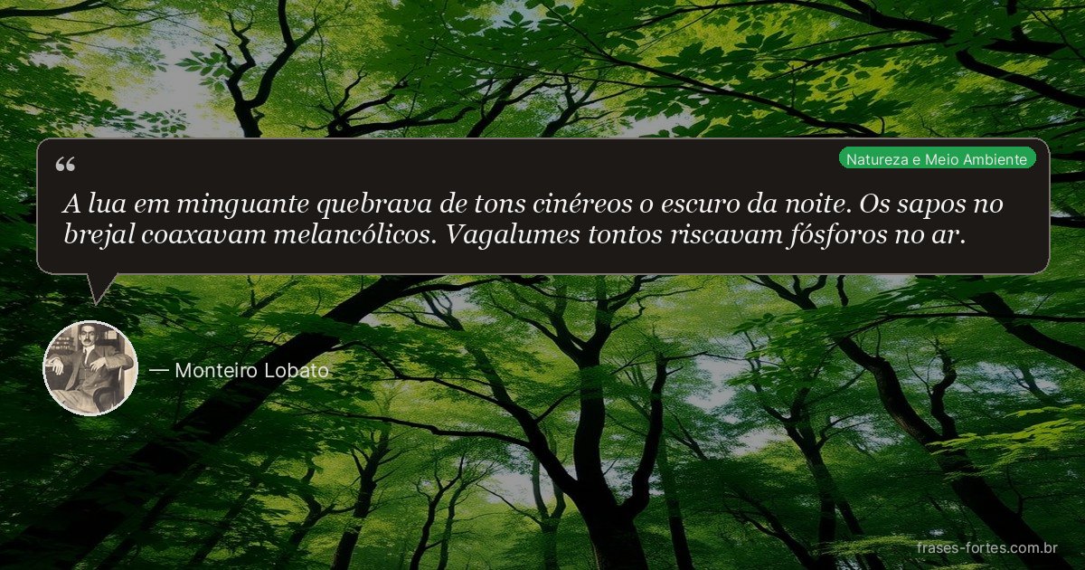 Frase de Monteiro Lobato