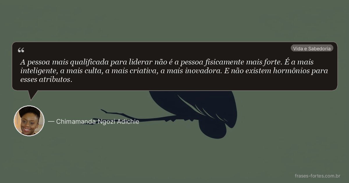 Frase de Chimamanda Ngozi Adichie