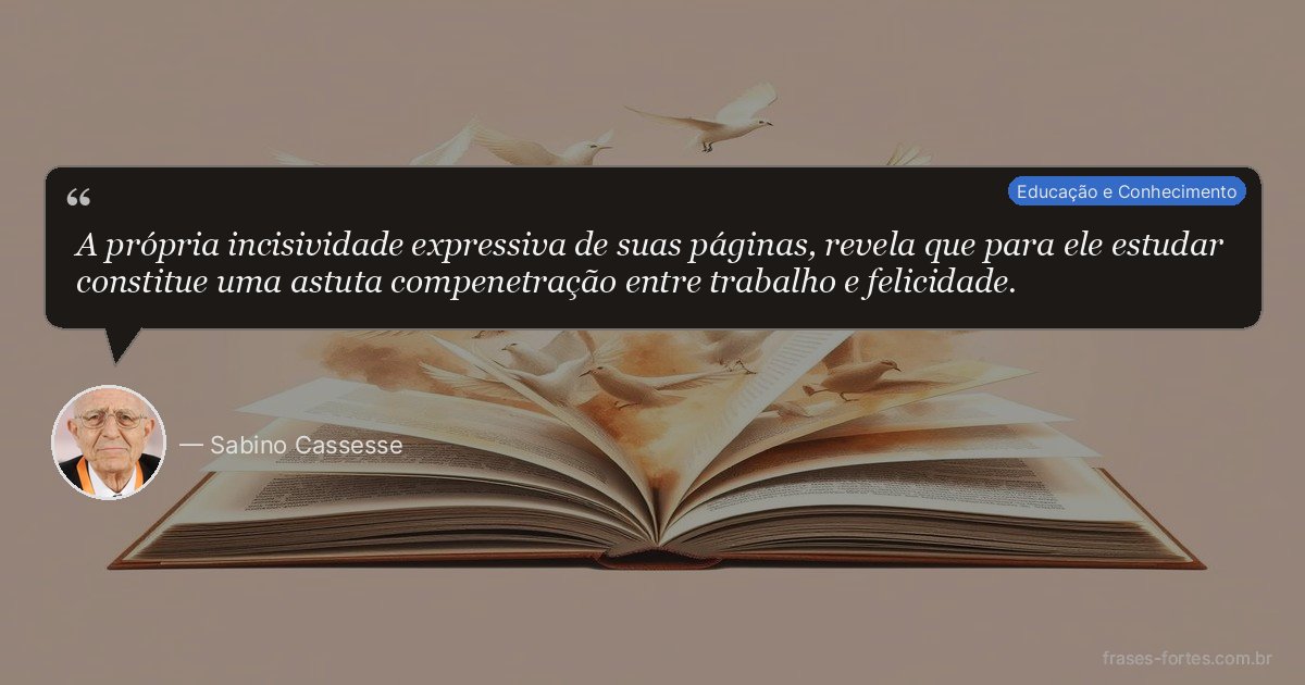 Frase de Sabino Cassesse