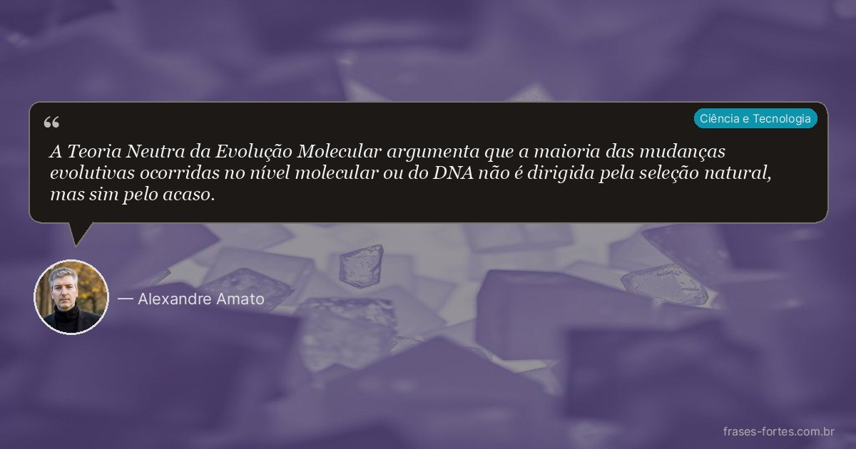 Frase de Alexandre Amato