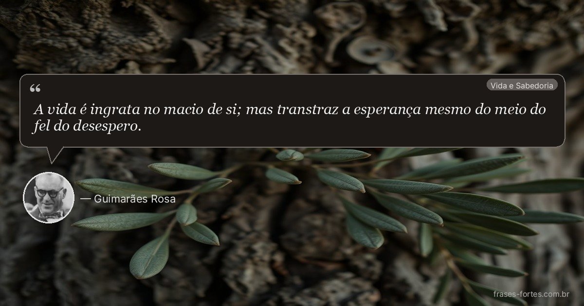 Frase de Guimarães Rosa