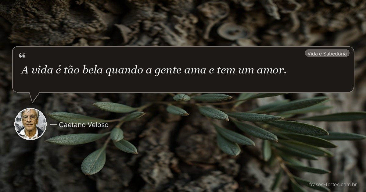 Frase de Caetano Veloso