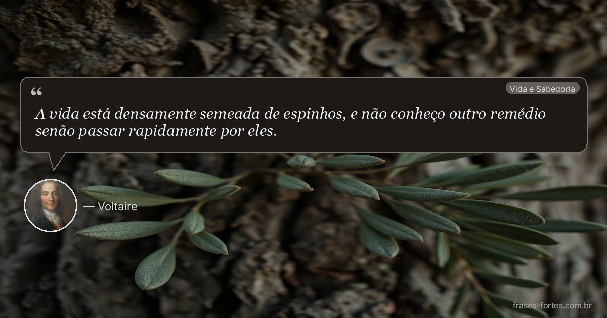 Frase de Voltaire