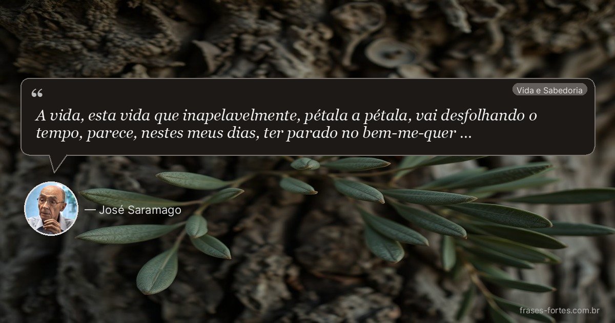 Frase de José Saramago
