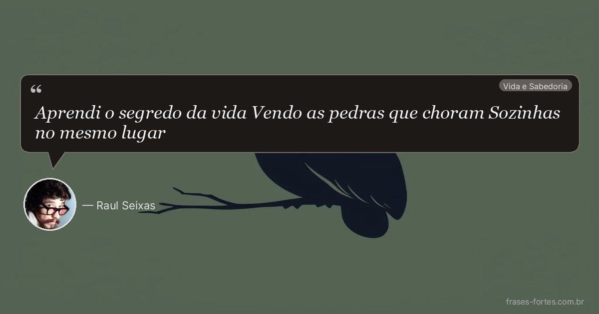 Frase de Raul Seixas