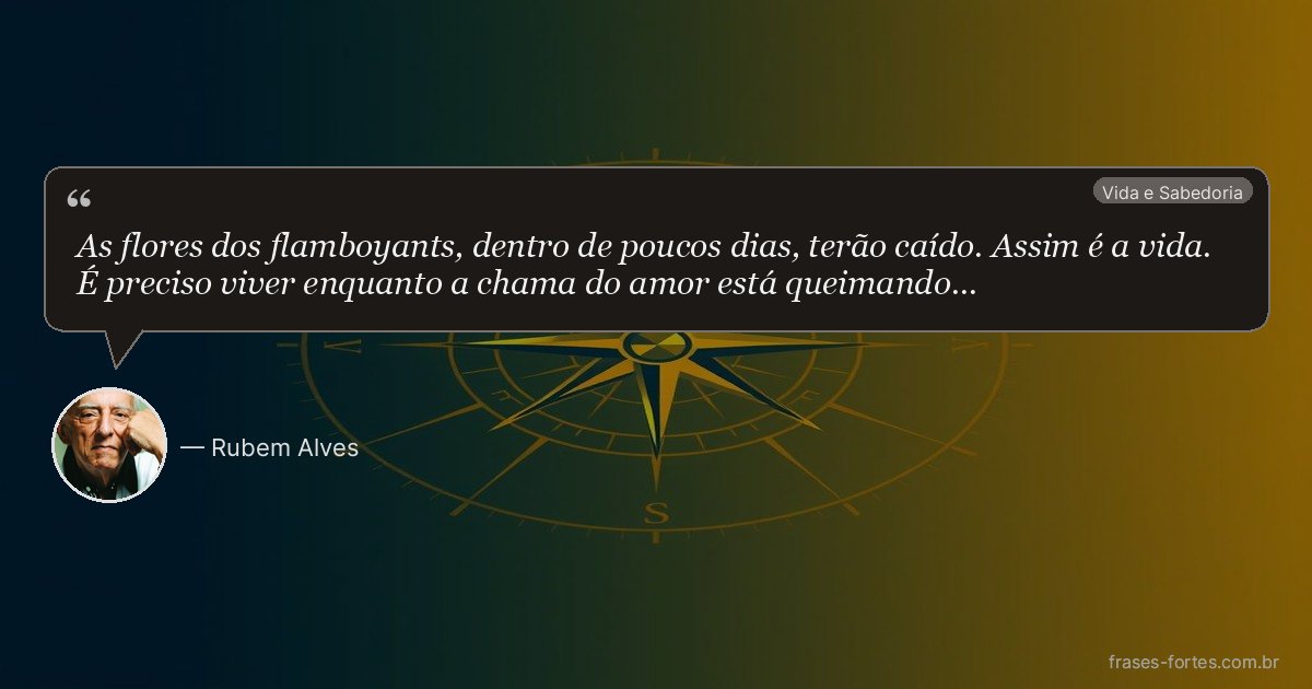Frase de Rubem Alves