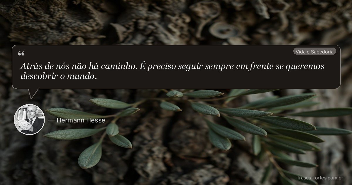 Frase de Hermann Hesse