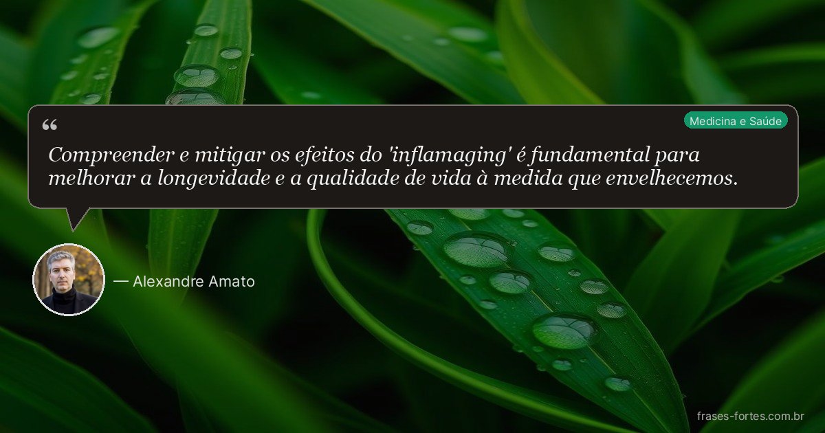 Frase de Alexandre Amato