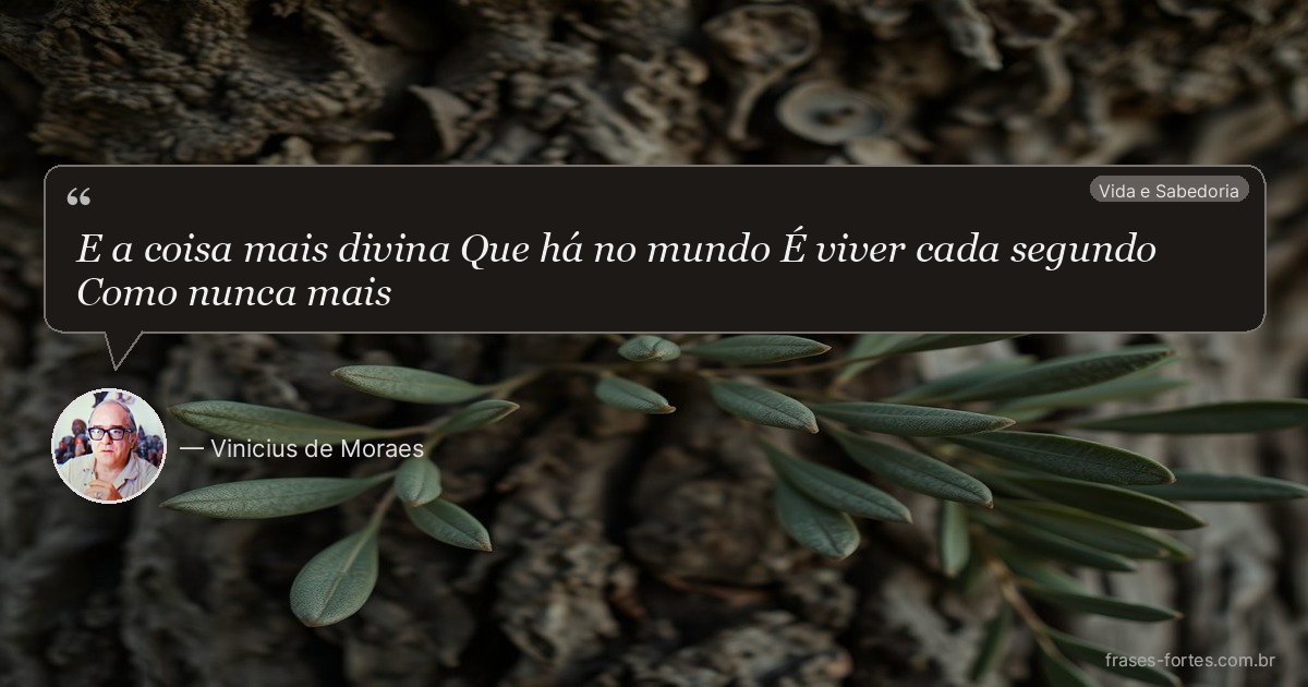 Frase de Vinicius de Moraes