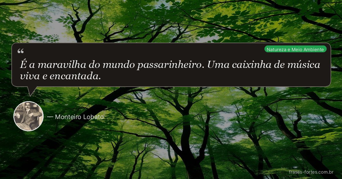 Frase de Monteiro Lobato