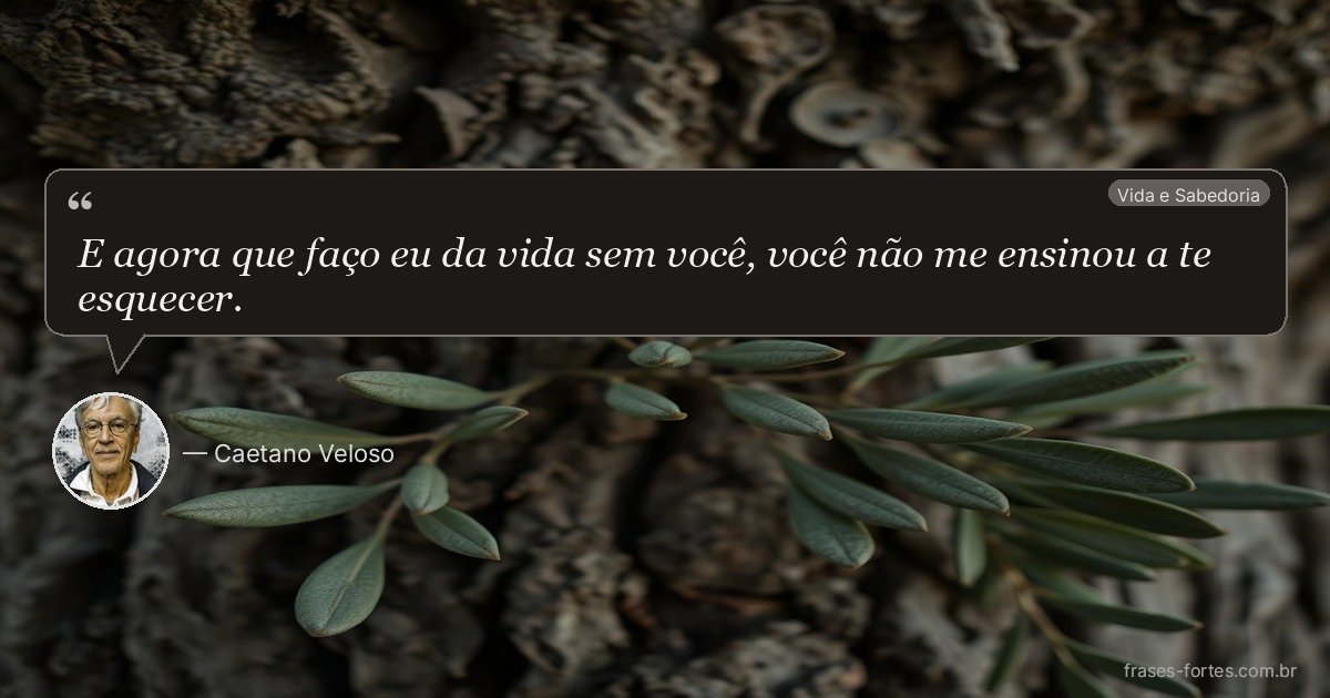 Frase de Caetano Veloso