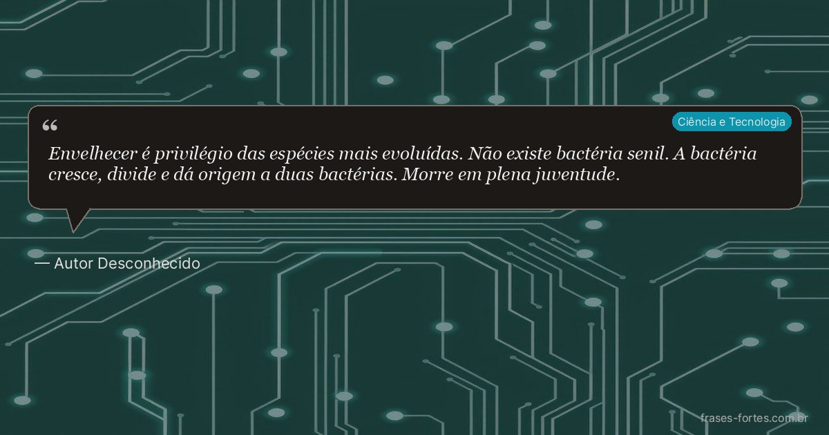 Frase de Autor Desconhecido