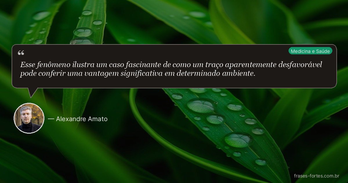 Frase de Alexandre Amato