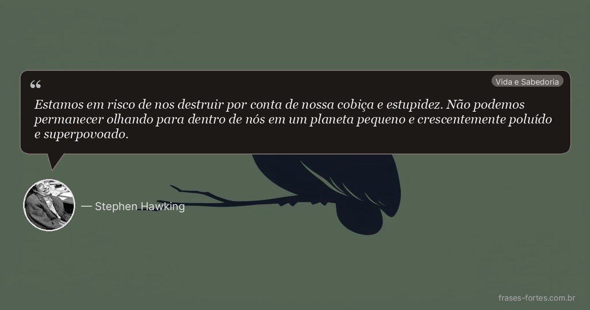 Frase de Stephen Hawking
