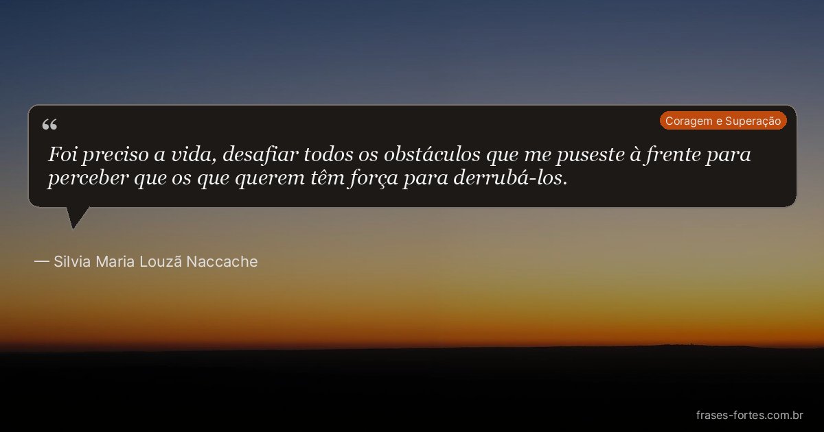 Frase de Silvia Maria Louzã Naccache