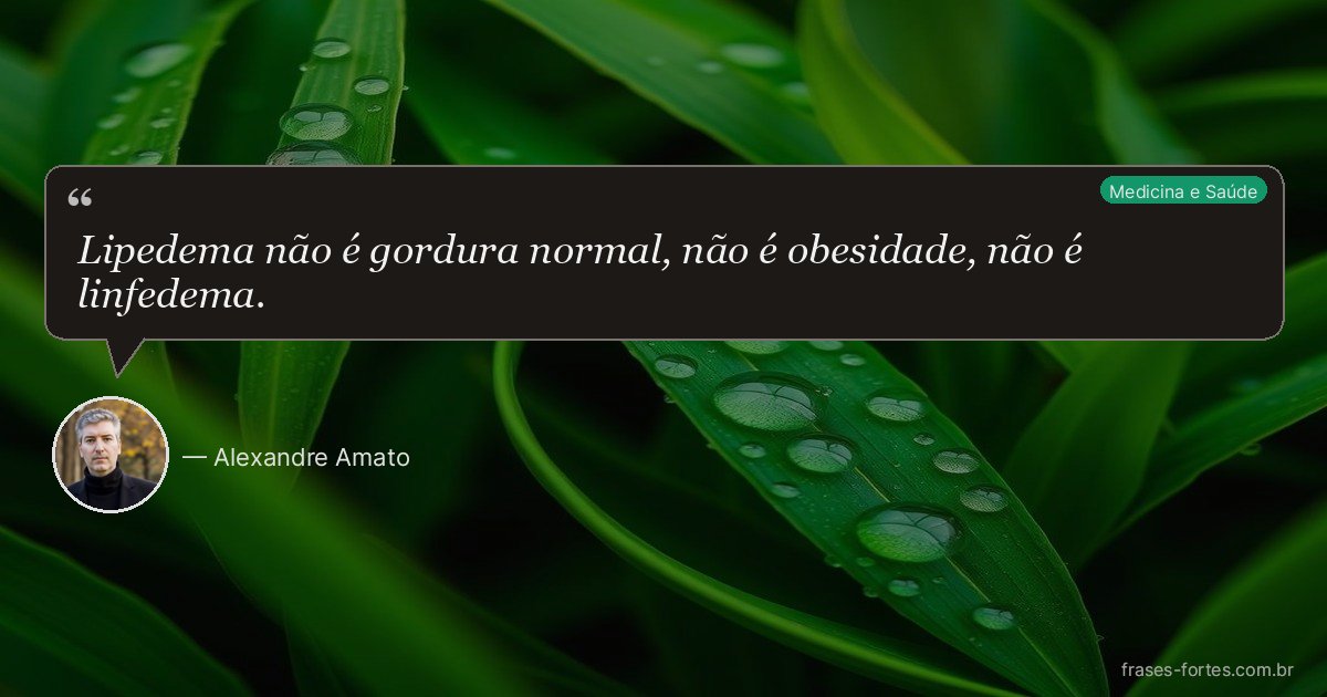 Frase de Alexandre Amato