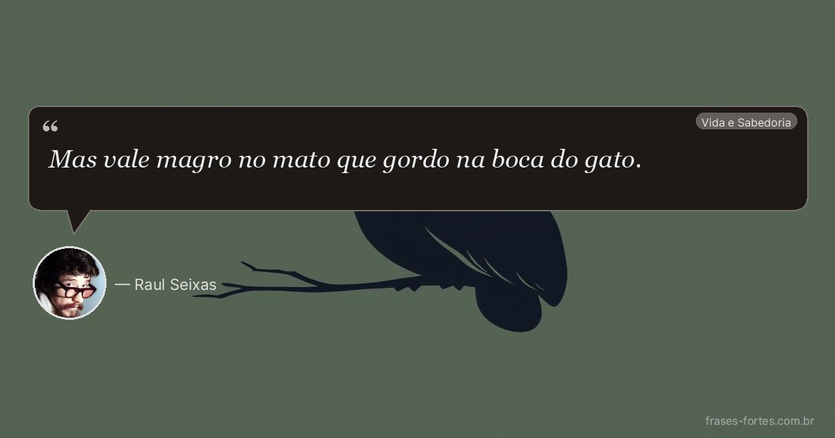 Frase de Raul Seixas