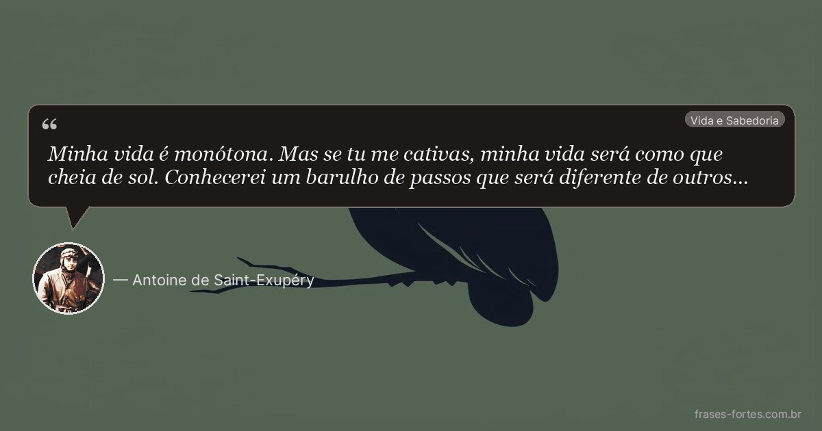 Frase de Antoine de Saint-Exupéry