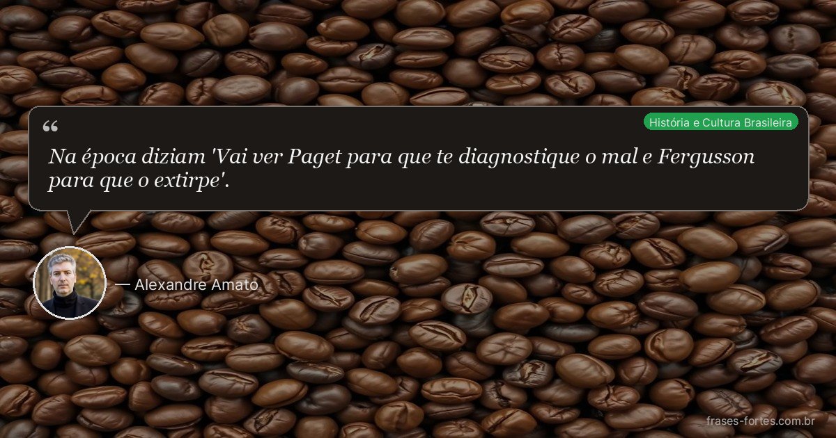 Frase de Alexandre Amato