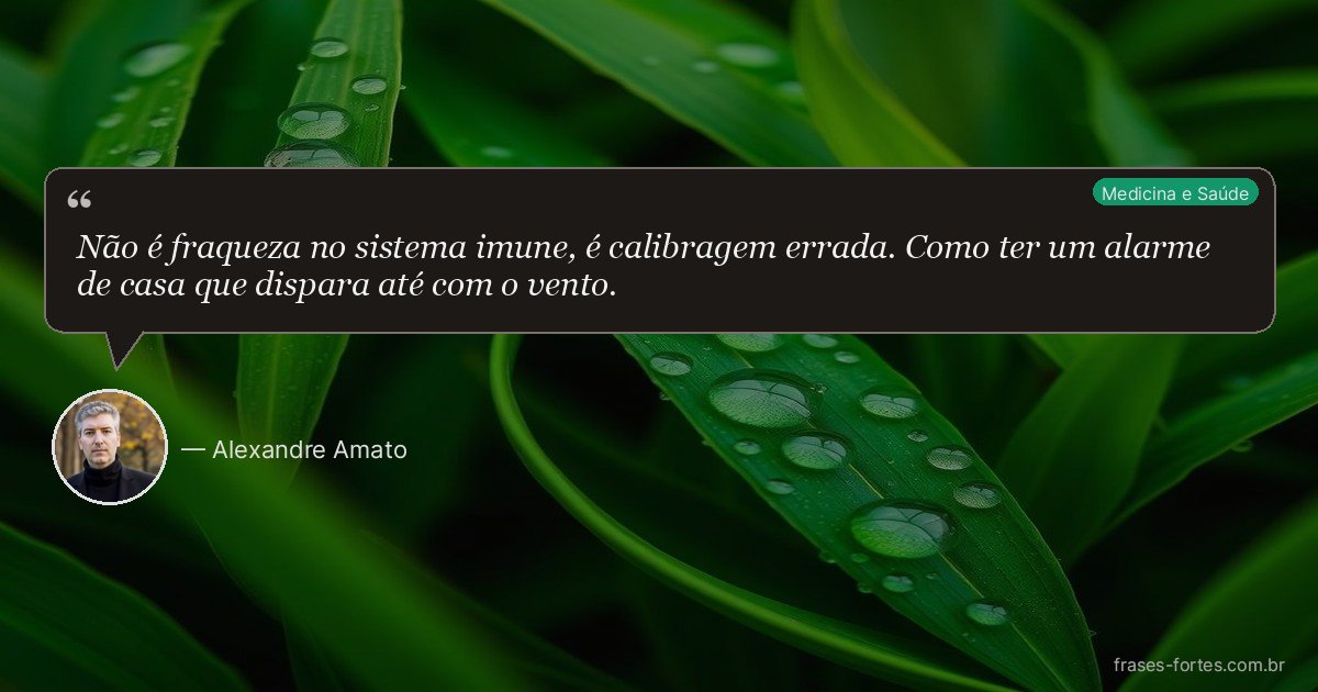 Frase de Alexandre Amato