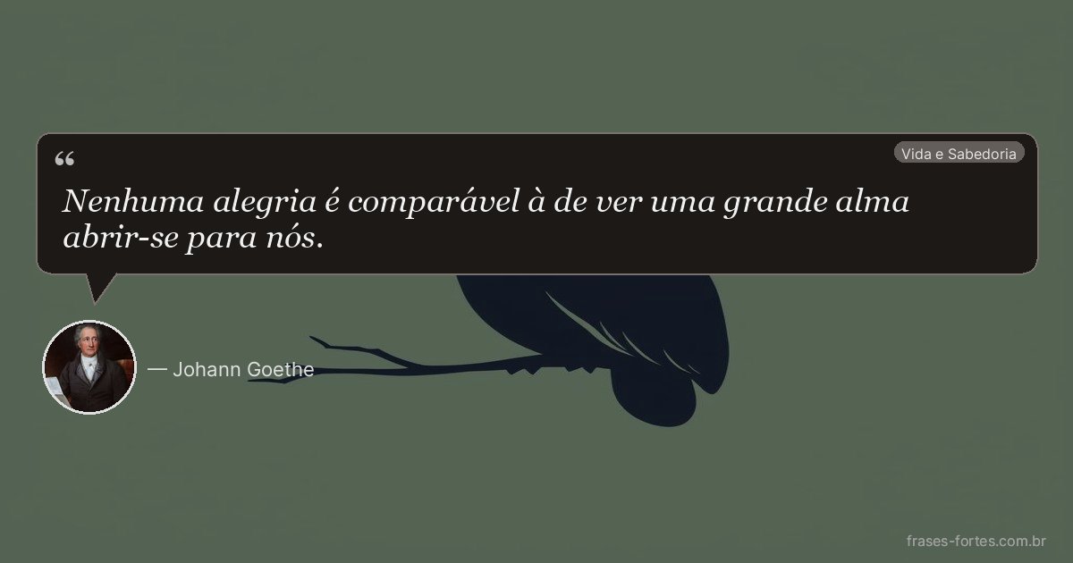 Frase de Johann Goethe
