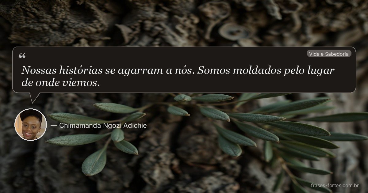 Frase de Chimamanda Ngozi Adichie