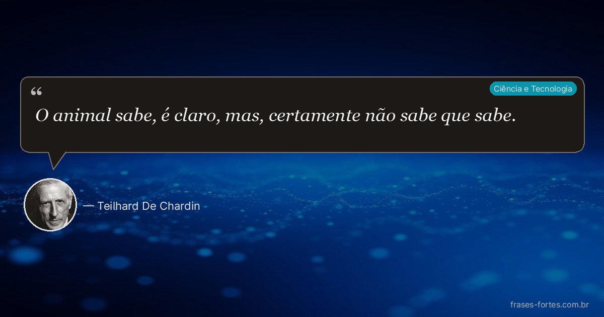 Frase de Teilhard De Chardin