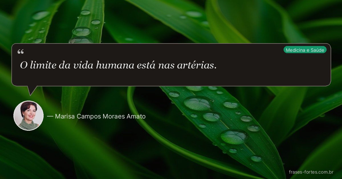 Frase de Marisa Campos Moraes Amato