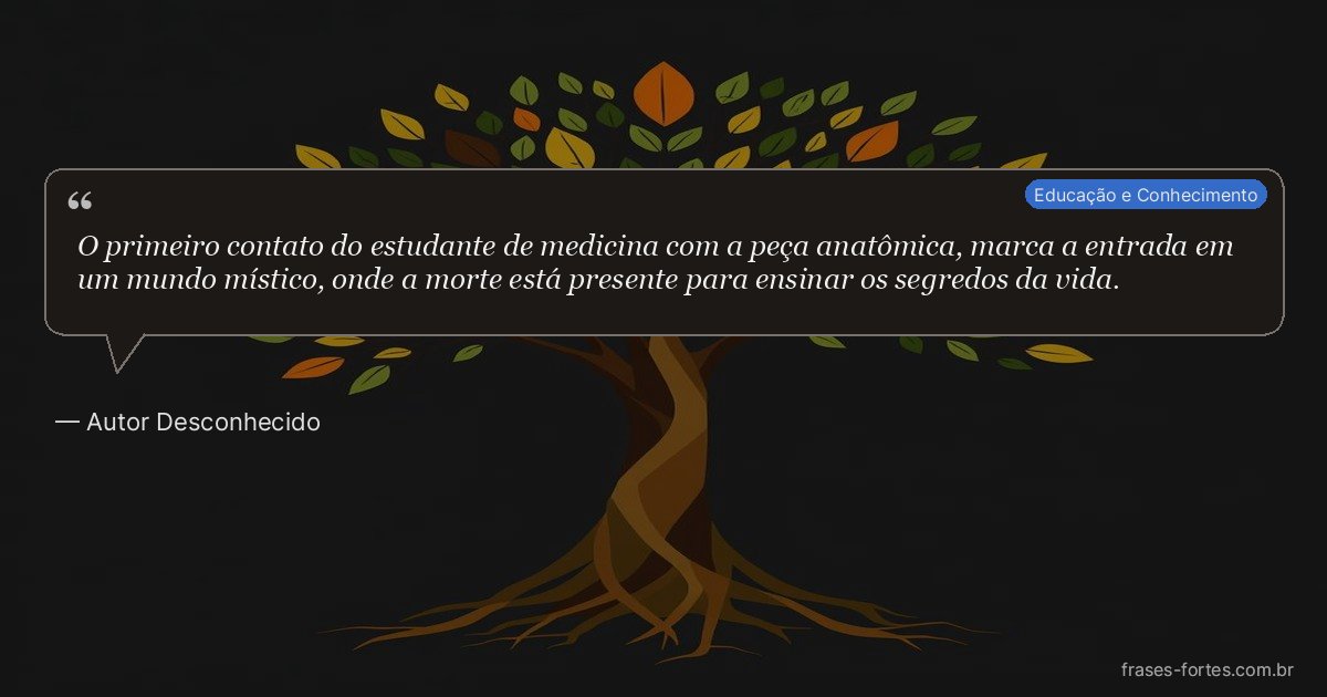 Frase de Autor Desconhecido