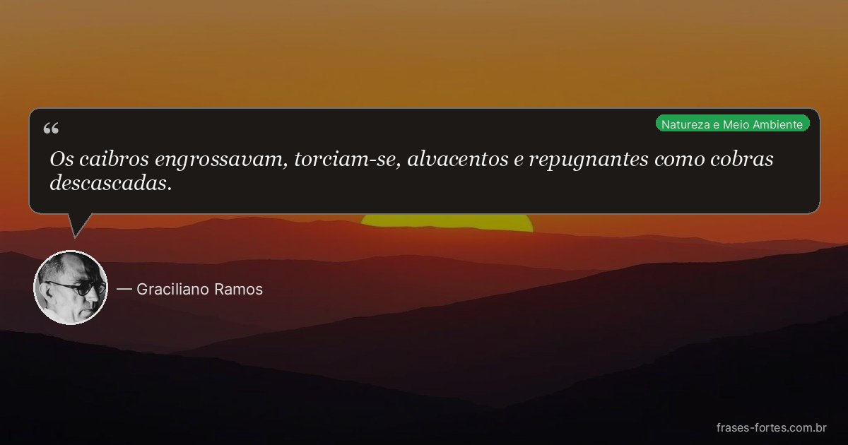 Frase de Graciliano Ramos