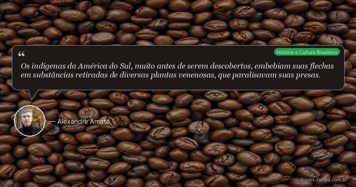 Frase de Alexandre Amato