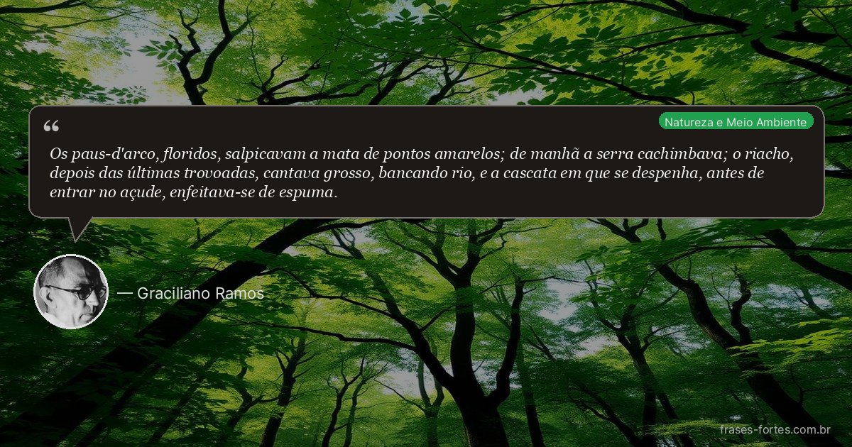 Frase de Graciliano Ramos