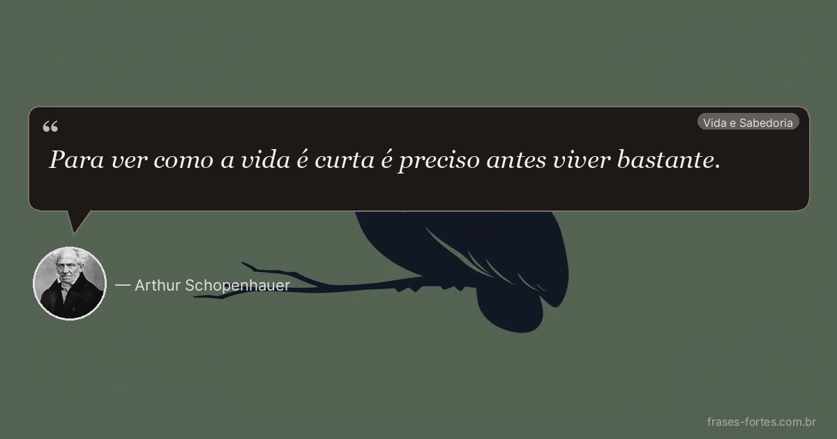 Frase de Arthur Schopenhauer
