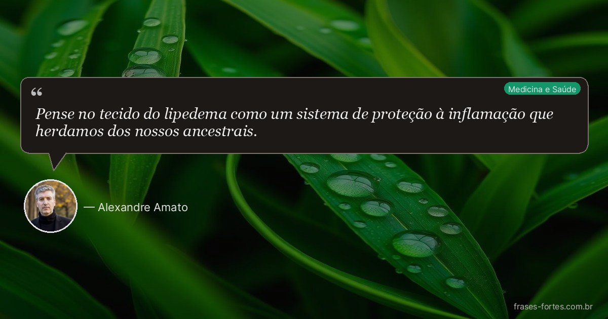 Frase de Alexandre Amato