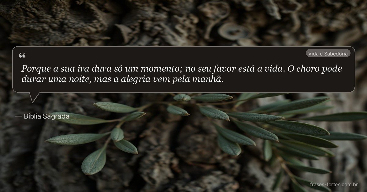 Frase de Bíblia Sagrada