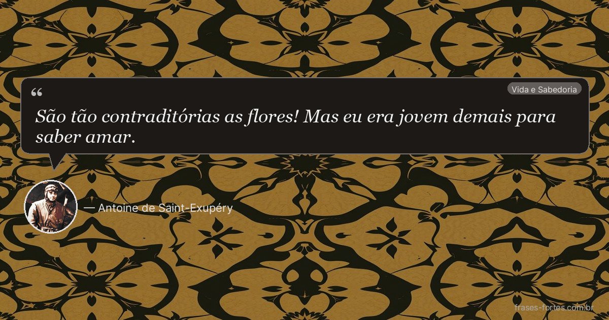 Frase de Antoine de Saint-Exupéry