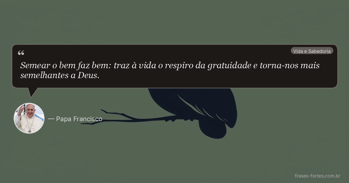 Frase de Papa Francisco