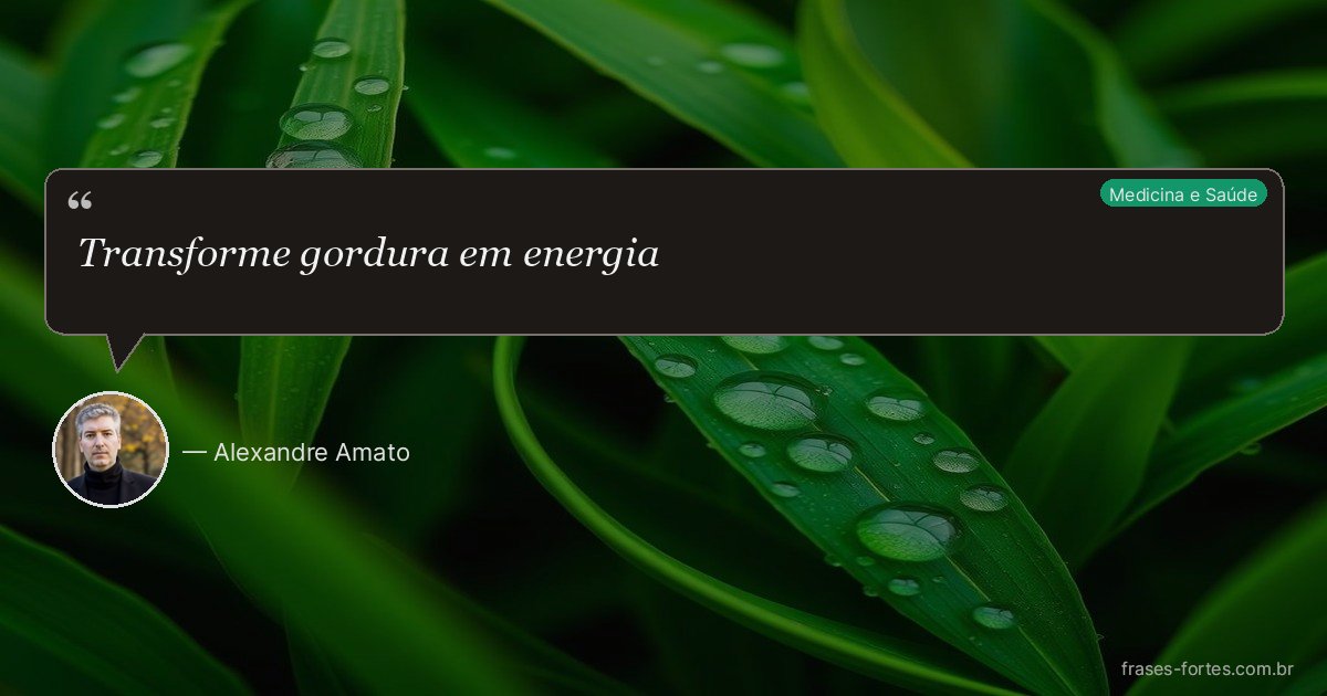 Frase de Alexandre Amato