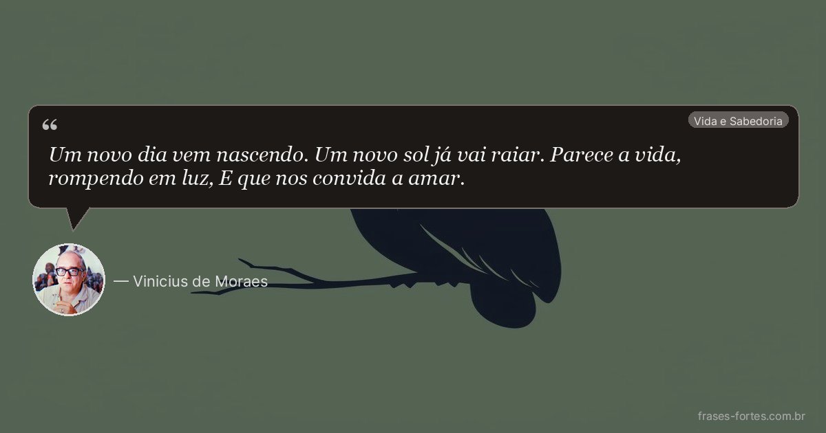 Frase de Vinicius de Moraes