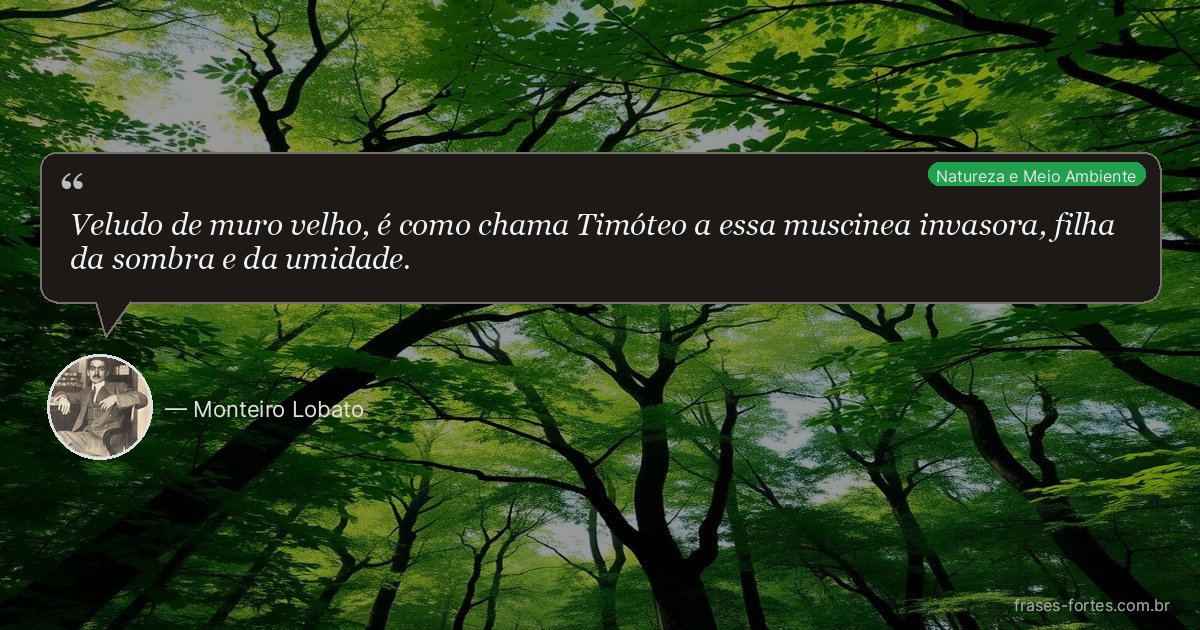 Frase de Monteiro Lobato